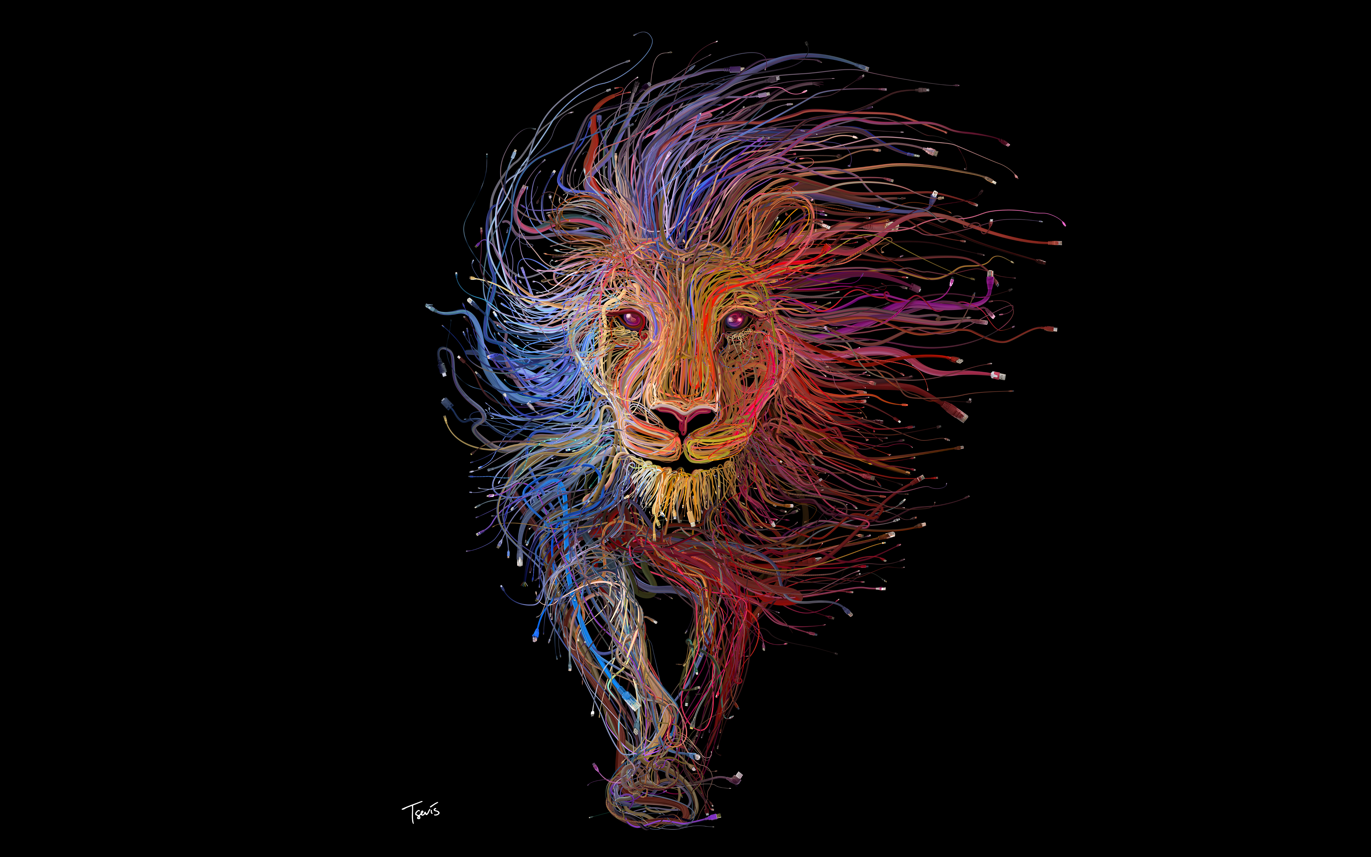 colorful lion wallpapers