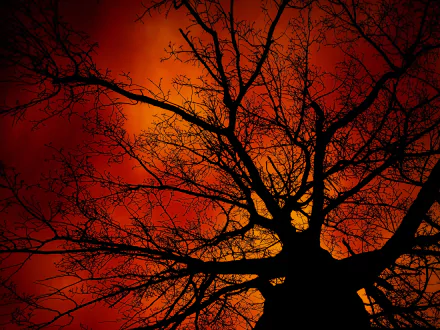  Autumn Sunset by Jyrki Salmi