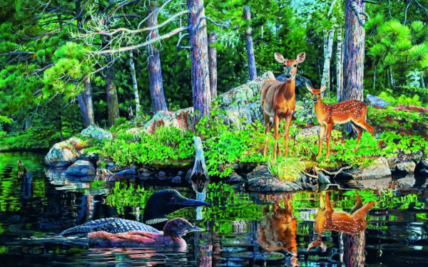 Animal Deer Reflection Duck Tree Pond Forest HD Wallpaper | Background Image