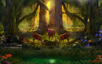 HD Wallpaper | Hintergrund ID:705354