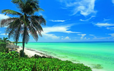  Beach in Cuba