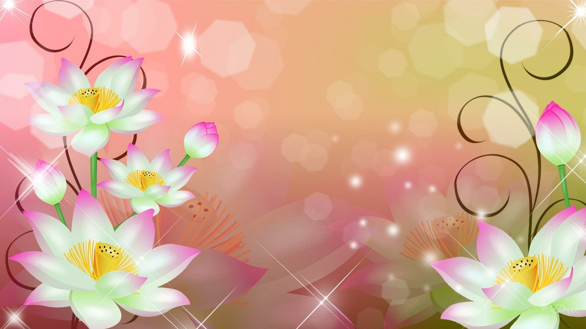 Lotus Flowers HD Wallpaper | Achtergrond | 1920x1080 | ID:706700