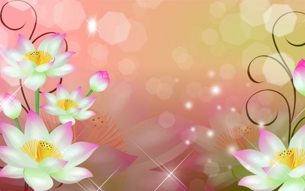 Artistic Flower Flowers Lotus White White Flower HD Wallpaper | Background Image