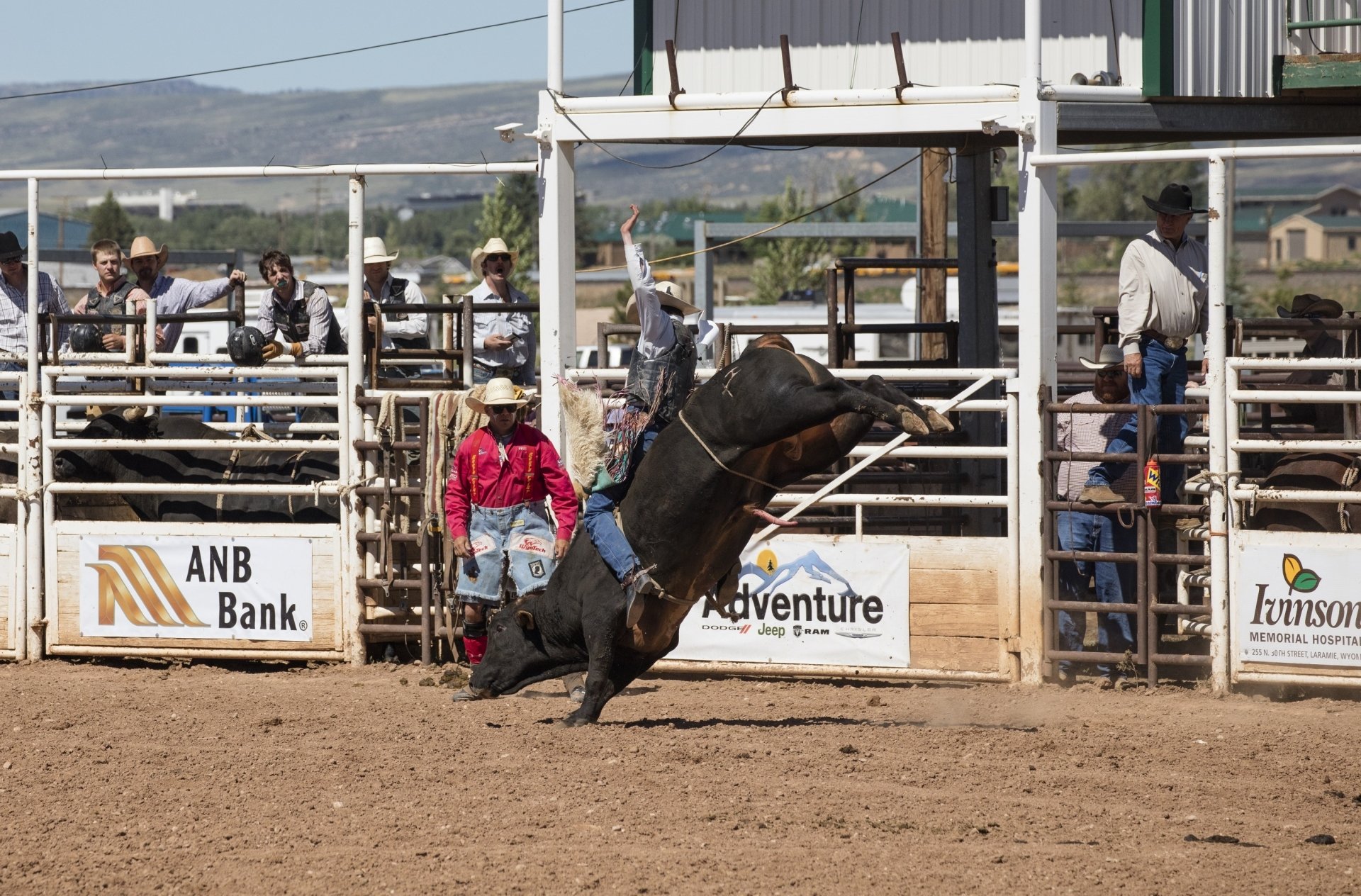 Riding a bucking bull in a rodeo HD Wallpaper | Background Image