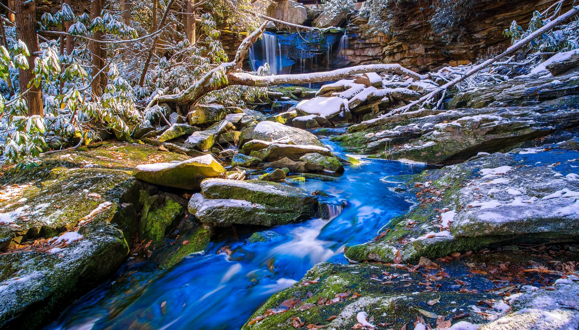A tranquil waterfall cascades through a forest, surrounded by moss-covered rocks and a serene stream, capturing the beauty of nature in exquisite detail. HD desktop wallpaper.