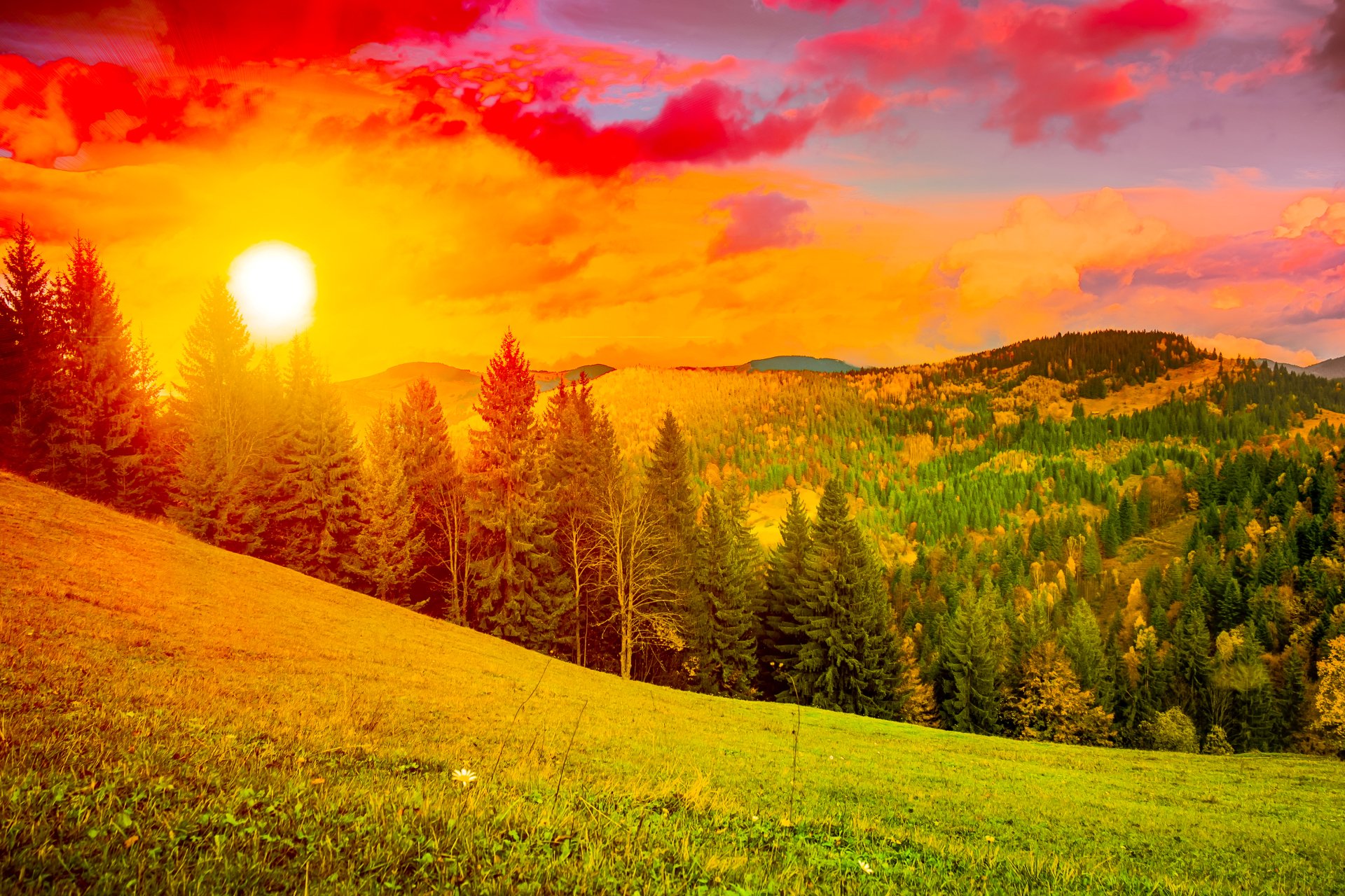 Sunset over Mountain Forest