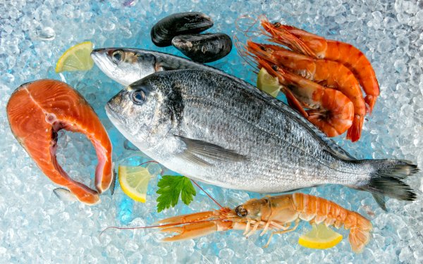 Food Seafood Fish Shrimp HD Wallpaper | Background Image