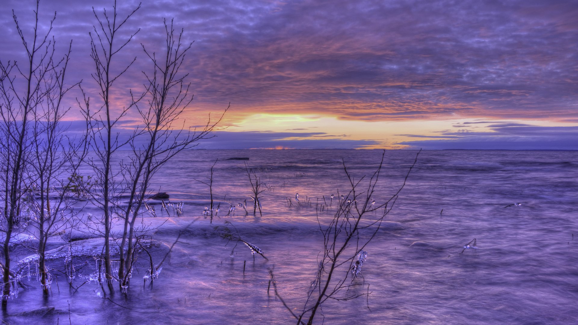A serene winter landscape of a frozen lake in Sweden under a purple cloud-filled sky at horizon, with bare trees emerging from the icy water.