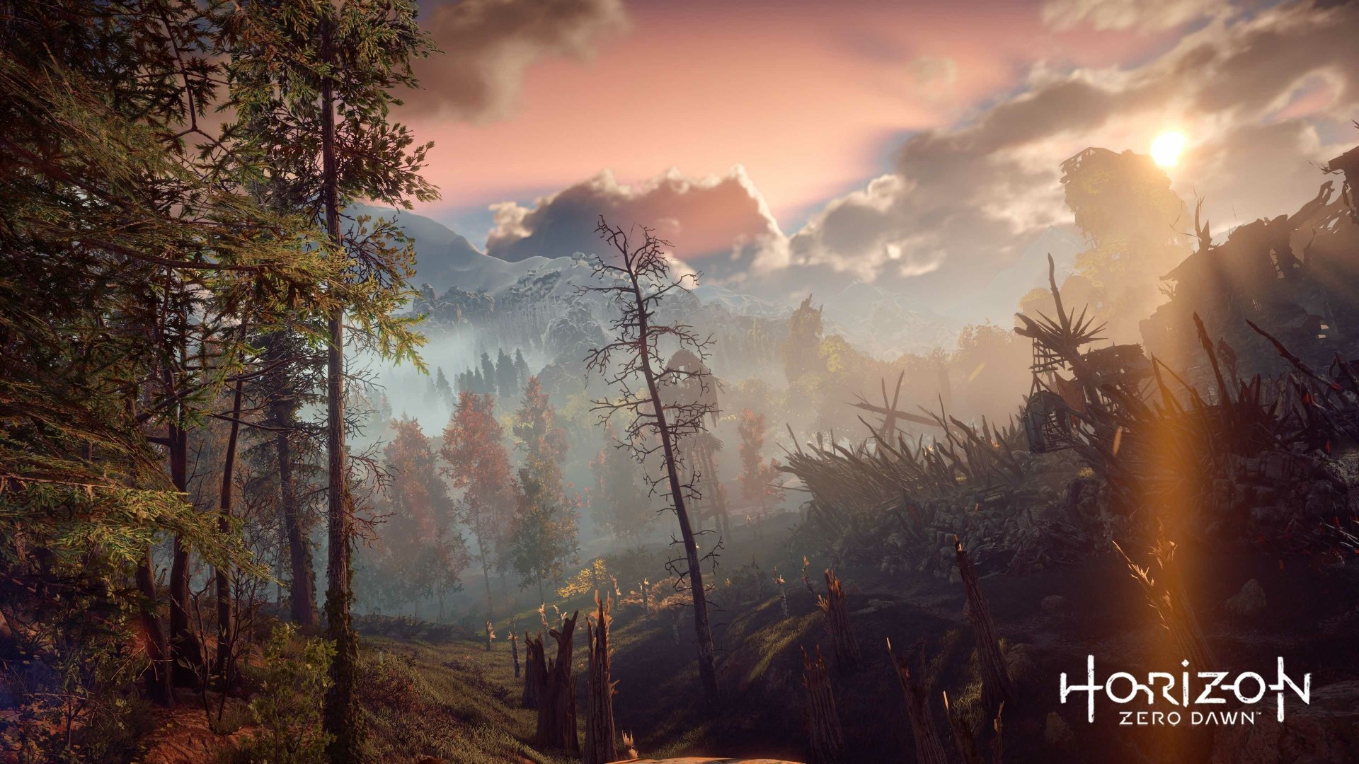 A breathtaking 4K Ultra HD PC wallpaper of Horizon Zero Dawn featuring a misty forest landscape under a dramatic sky at sunrise.