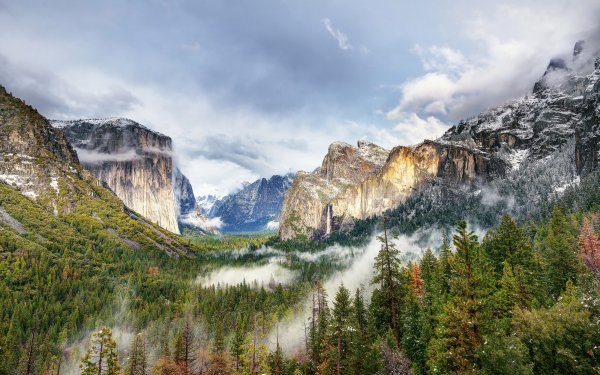 Nature Yosemite National Park National Park USA Landscape Forest Mountain Cliff HD Wallpaper | Background Image