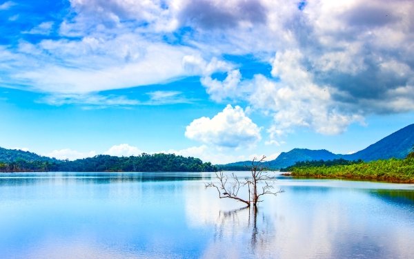 Earth Lake Lakes Tree Lonely Tree Cloud Water Mountain HD Wallpaper | Background Image