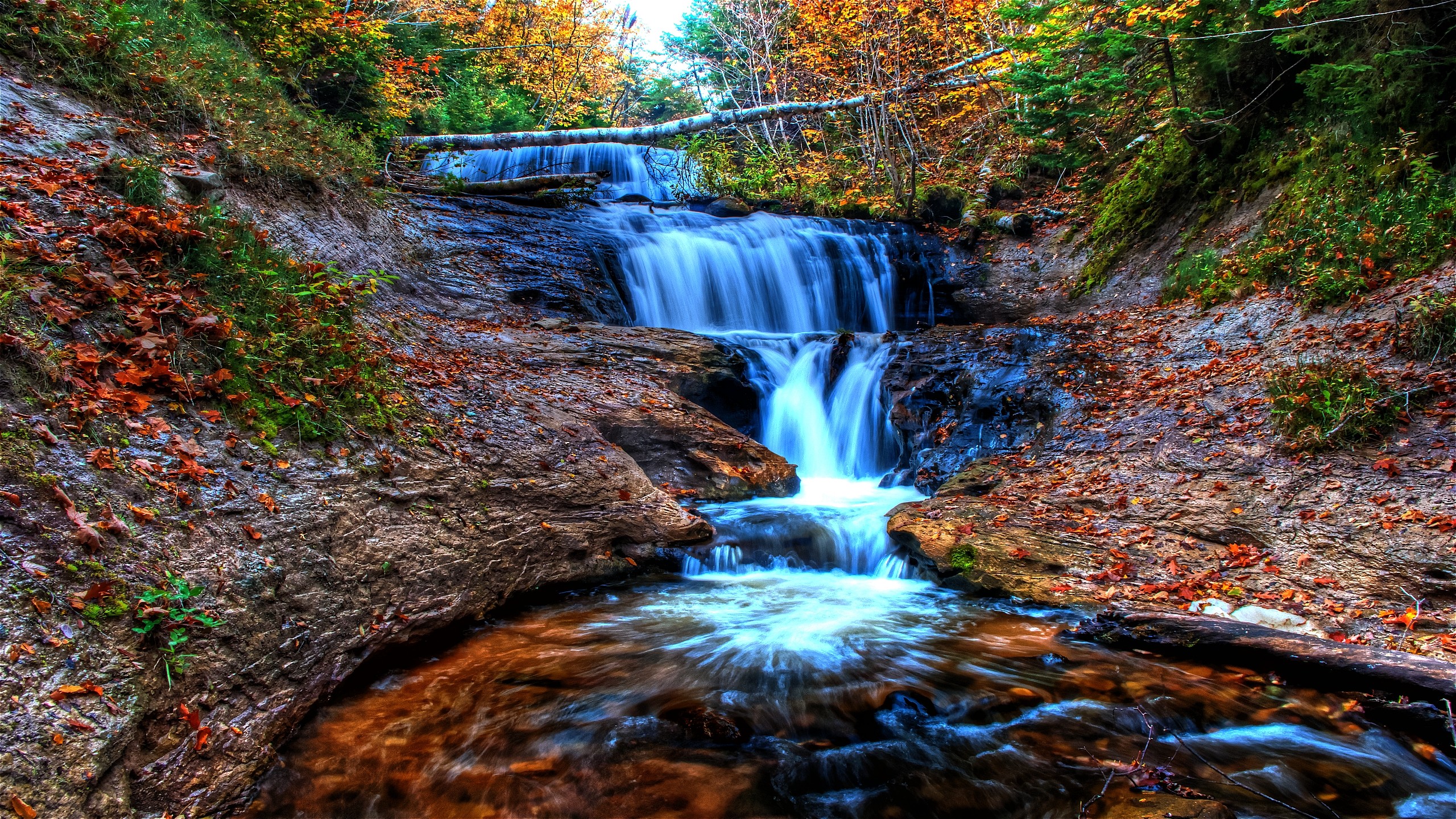 Download Fall Nature Waterfall HD Wallpaper