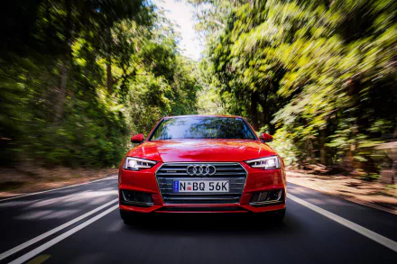 A striking red Audi A4 zooms down a scenic road, surrounded by lush greenery, creating a dynamic HD desktop wallpaper that captures the essence of performance and style.