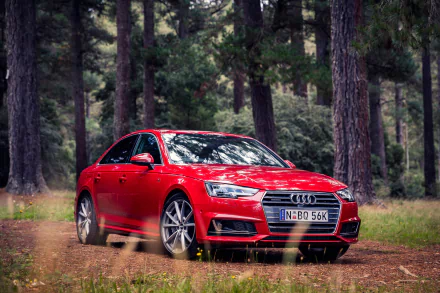 A striking red Audi A4 parked amidst lush greenery, showcasing its sleek design and dynamic presence. This HD image serves as an impressive desktop wallpaper.