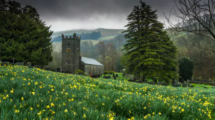 HD desktop wallpaper featuring a serene country graveyard with blooming flowers, tall trees, and a historic church under a cloudy sky.