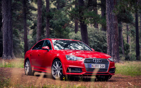 A striking red Audi A4 parked amidst lush greenery, showcasing its sleek design and dynamic presence. This HD image serves as an impressive desktop wallpaper.