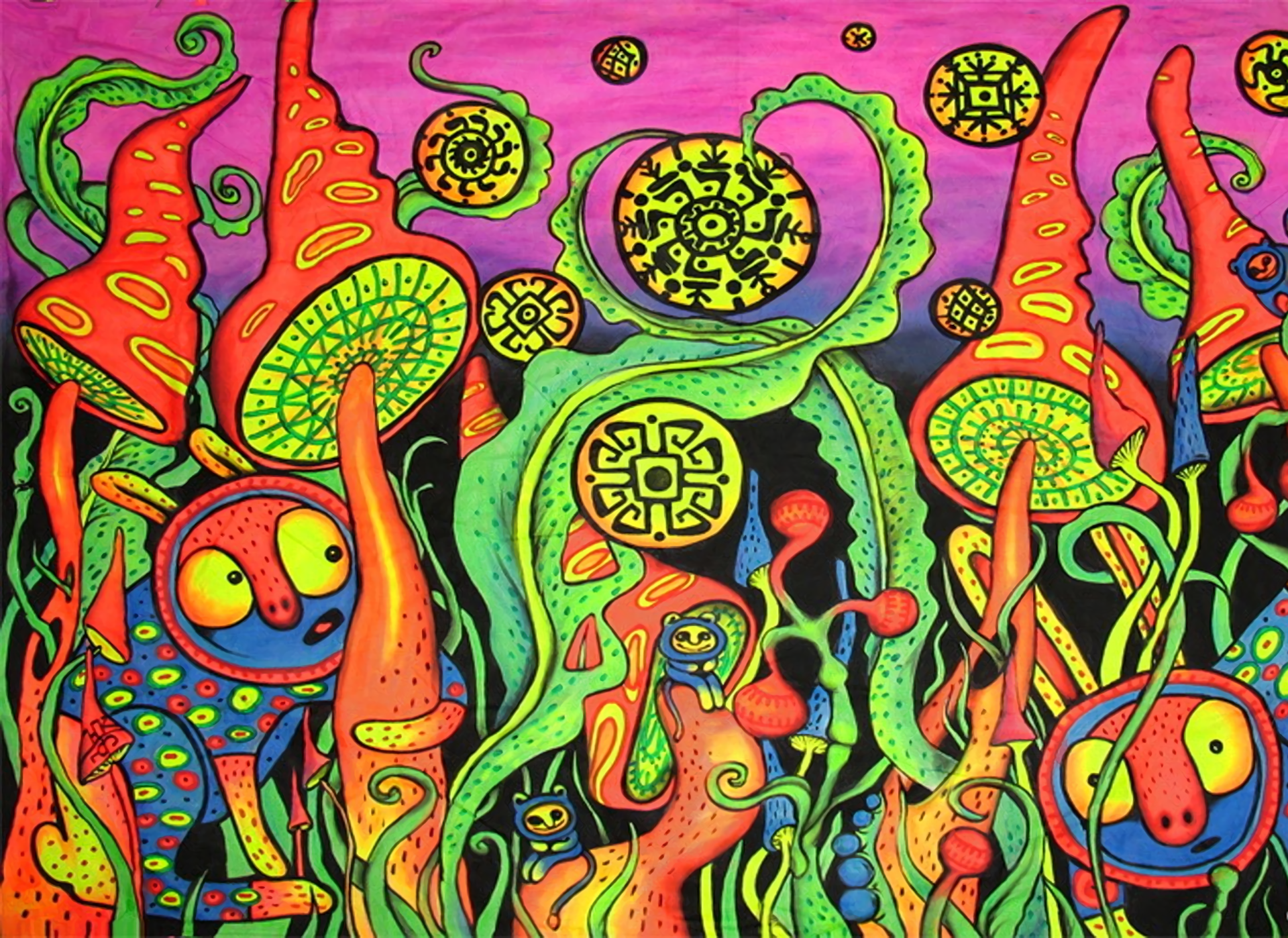 Psychedelic Mushrooms Images  Browse 48376 Stock Photos Vectors and  Video  Adobe Stock