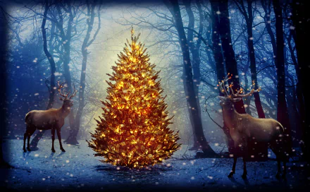  Bucks in the Christmas Forest