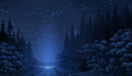 HD anime wallpaper featuring a serene forest at night under a starry sky, blending deep blues and silhouettes of trees for a captivating background.