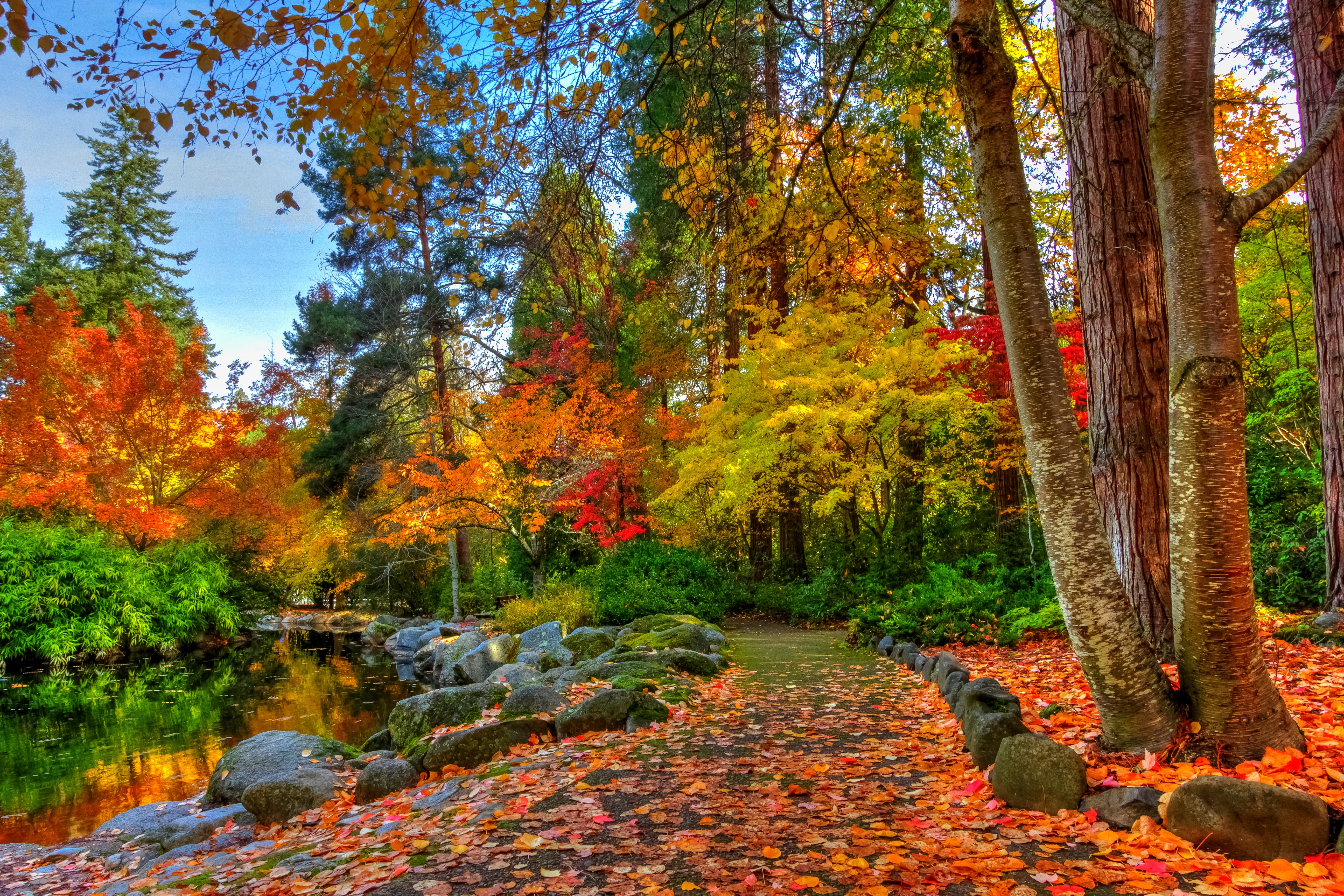 Mùa thu: Cùng chiêm ngưỡng những hình ảnh đẹp diệu kỳ của mùa thu và những cánh rừng rực rỡ lung linh màu sắc làm say đắm bạn bởi sự tĩnh lặng và yên bình tuyệt vời.