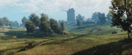 A serene landscape from The Witcher 3: Wild Hunt, featuring a windmill surrounded by lush greenery and a dirt path, presented as a high-definition desktop wallpaper.
