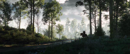 HD desktop wallpaper and background from the video game The Witcher 3: Wild Hunt, featuring a dense forest landscape with a character on horseback against a misty, dreamy backdrop.