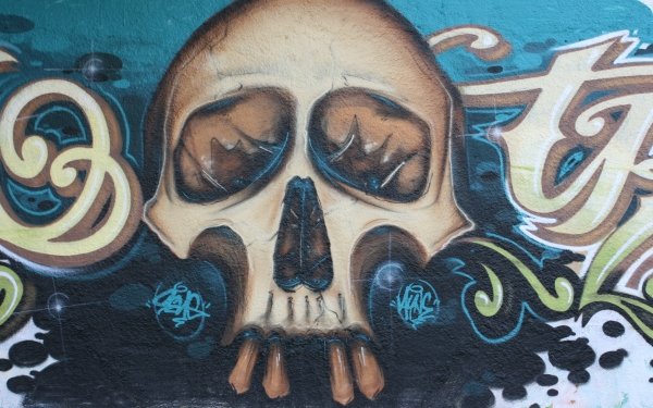 Artistic Graffiti Skull Wall HD Wallpaper | Background Image