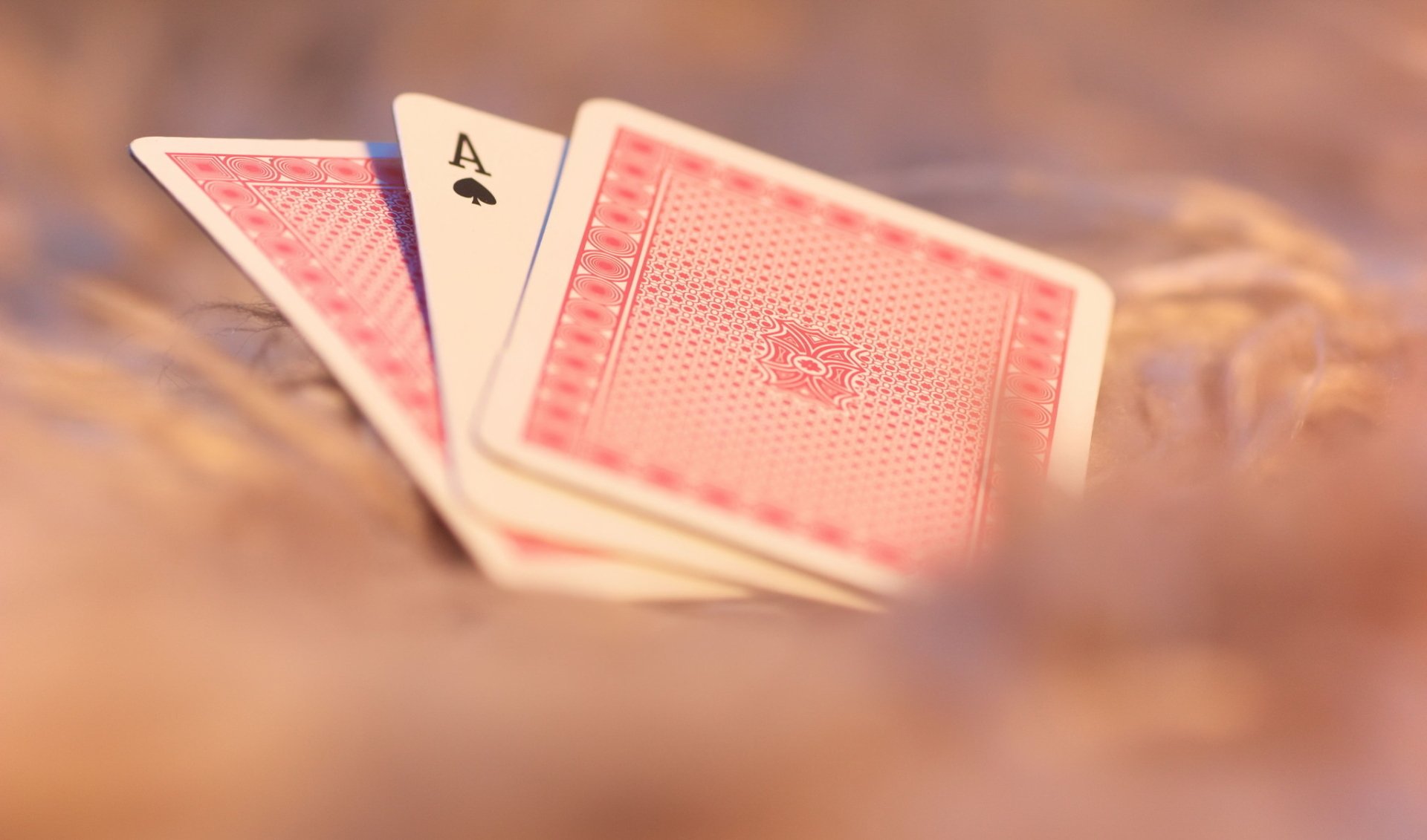 A close-up of playing cards, featuring an Ace of Spades and a red card, set against a soft, blurred background. This HD wallpaper adds a stylish touch to any desktop.
