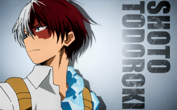 Featured image of post Shoto Todoroki Cheveux Noir Et Blanc