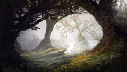 nature tree fantasy forest HD Desktop Wallpaper | Background Image