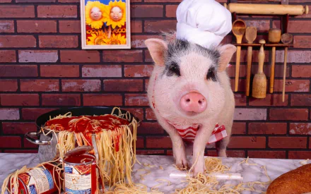 A playful pig wearing a chef's hat stands in a cozy kitchen, surrounded by spaghetti and tomato sauce. This charming animal-themed HD wallpaper adds fun to any desktop background.