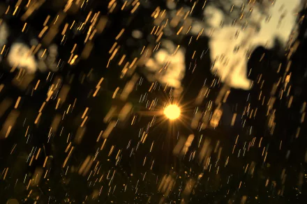 A captivating photograph capturing raindrops illuminated by a golden sunset, creating a serene and atmospheric backdrop for any HD desktop wallpaper.