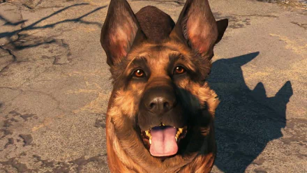 A vibrant HD wallpaper of Dogmeat from Fallout 4, showcasing the loyal canine companion with a cheerful expression and detailed fur against a textured background.