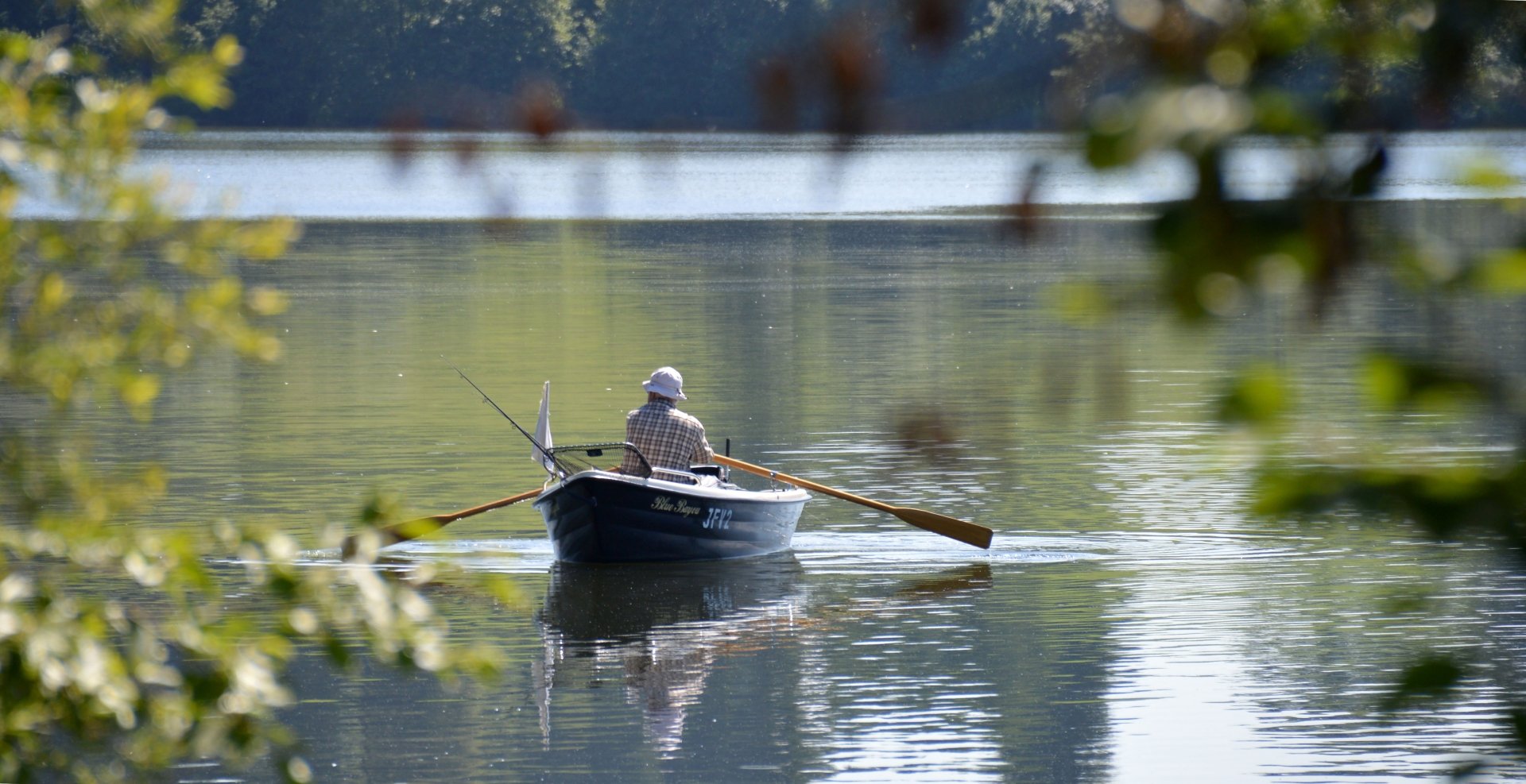 Rowing Fish