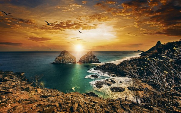 Earth Coastline Ocean Sea Brazil Sunset Cloud Horizon HD Wallpaper | Background Image