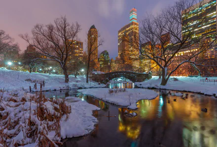 Snow-covered Gapstow Bridge and trees reflect in a calm stream at night during winter in New York, USA, with city skyscrapers glowing in the background.