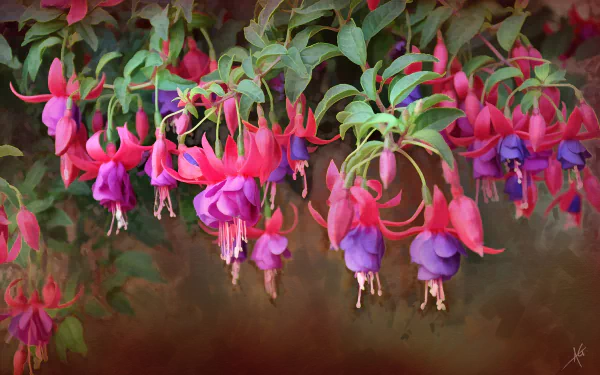 Vibrant purple and fuchsia flowers hang gracefully amid green leaves, captured in stunning 4K Ultra HD as a vivid nature-themed PC desktop wallpaper.