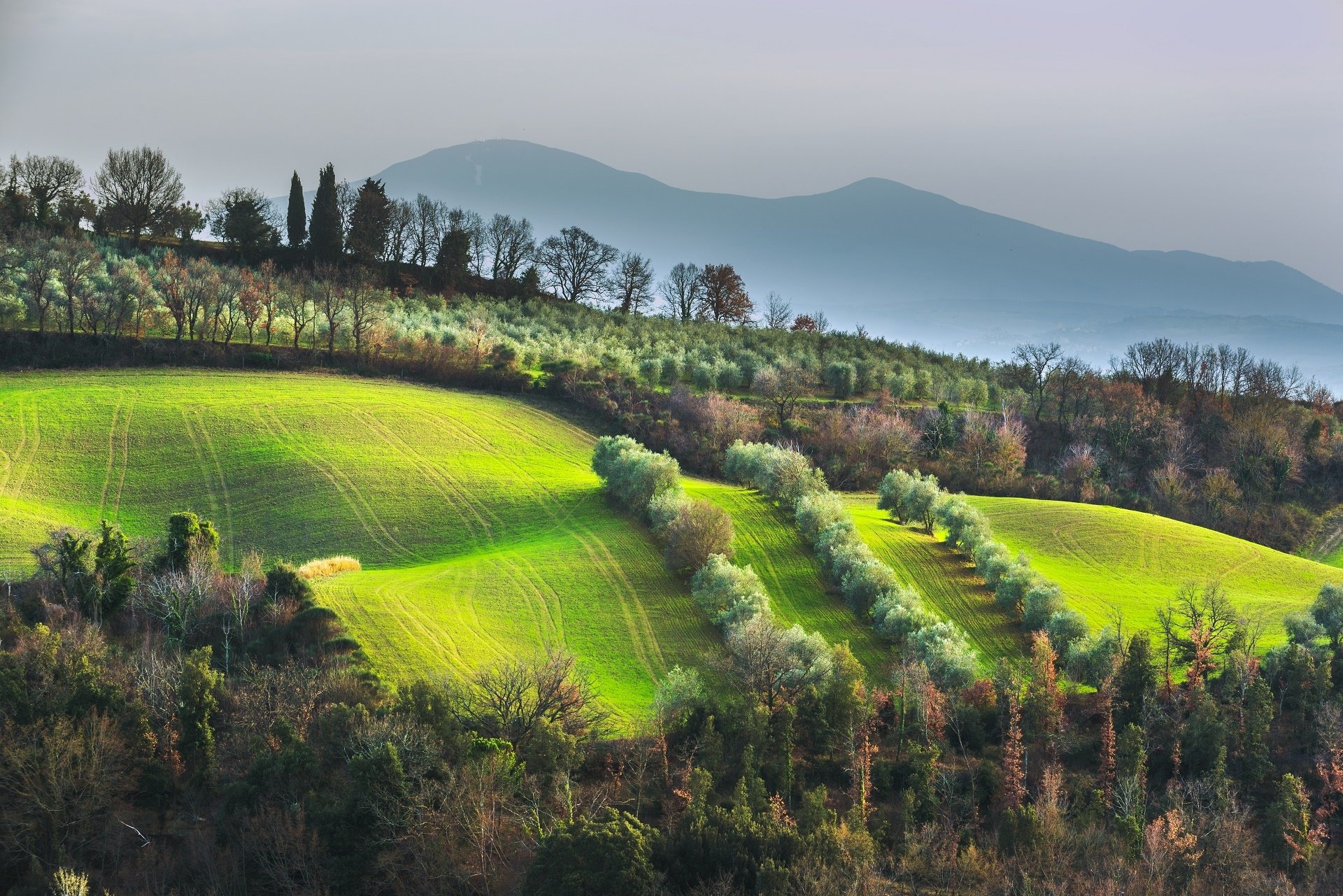 Download Photography Tuscany HD Wallpaper