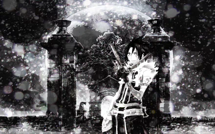 Allen Walker Anime D.Gray-man HD Desktop Wallpaper | Background Image