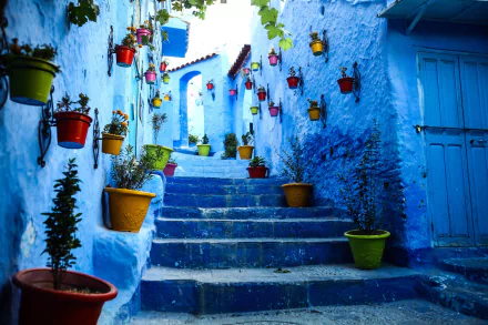 A vibrant HD desktop wallpaper featuring blue-painted man-made stairs adorned with colorful potted plants in the picturesque town of Chefchaouen.