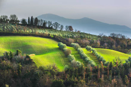 photography Tuscany HD Desktop Wallpaper | Background Image