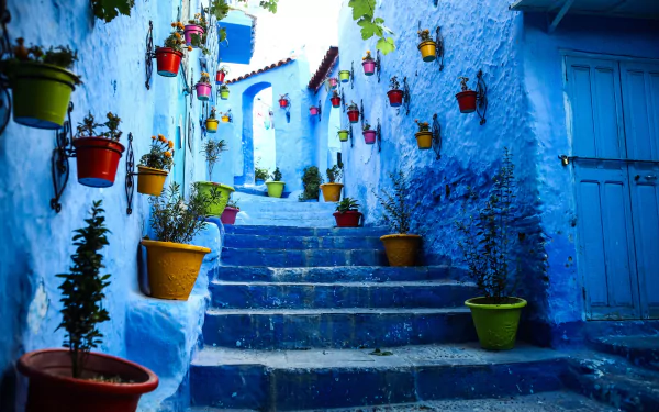 A vibrant HD desktop wallpaper featuring blue-painted man-made stairs adorned with colorful potted plants in the picturesque town of Chefchaouen.
