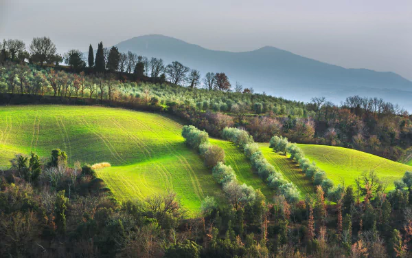photography Tuscany HD Desktop Wallpaper | Background Image