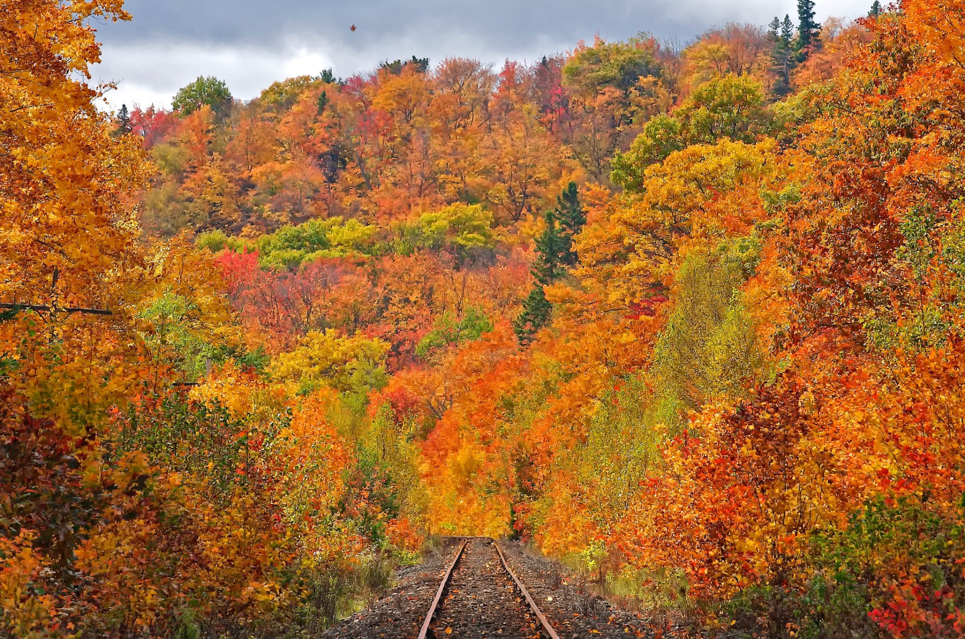 Download Fall Forest Man Made Railroad HD Wallpaper