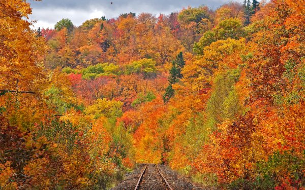 Railroad Track in Autumn Wallpaper and Background Image | 1600x1000 ...