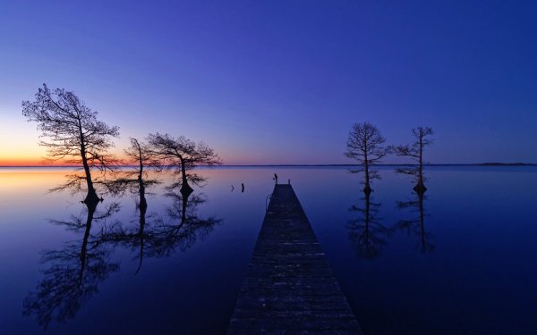 Photography Lake Lakes Nature Reflection Pier Horizon Tree Sky HD Wallpaper | Background Image