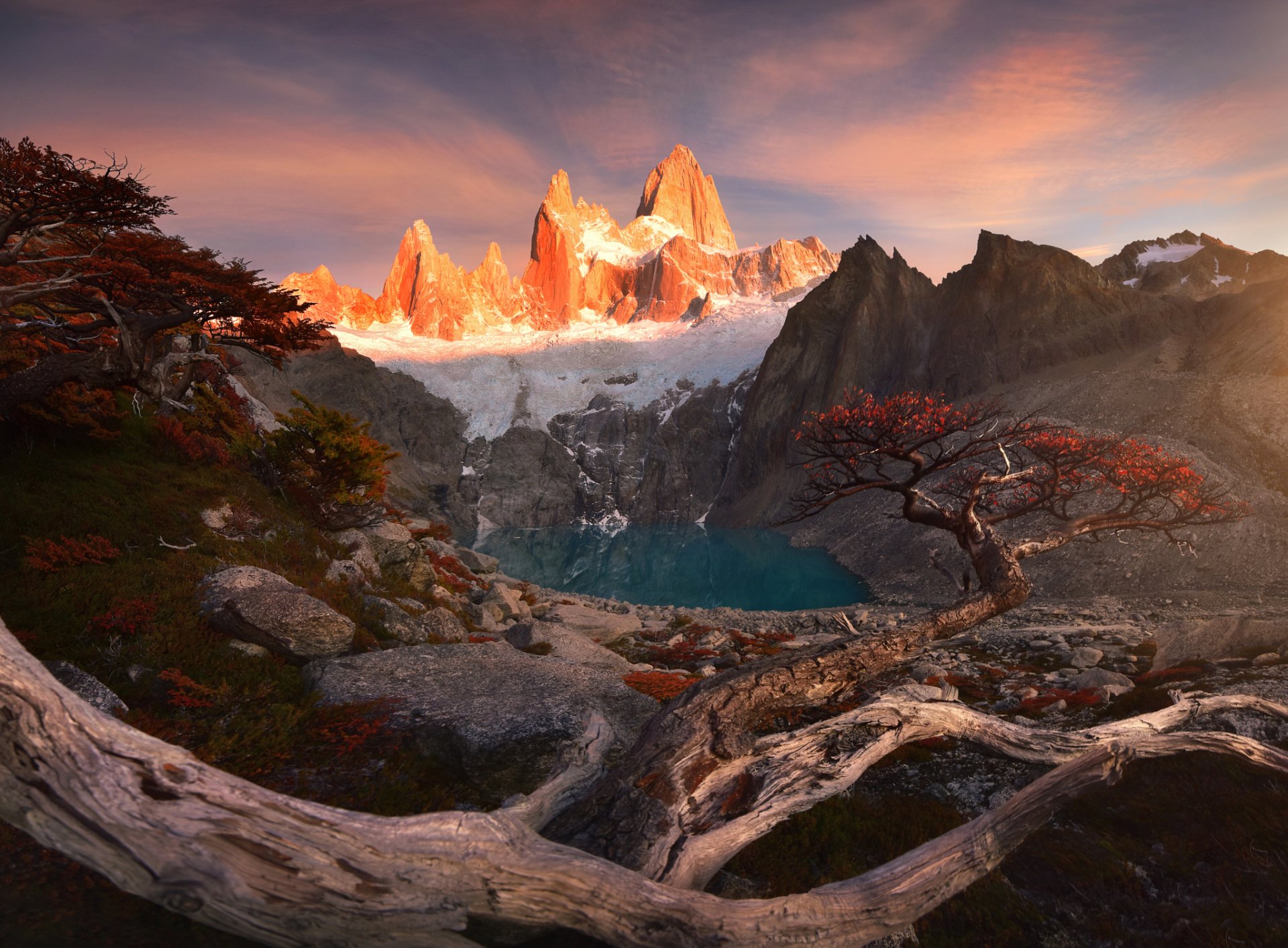HD desktop wallpaper featuring a vibrant mountain peak at sunset, framed by twisted trees and overlooking a serene lake in a stunning natural landscape.
