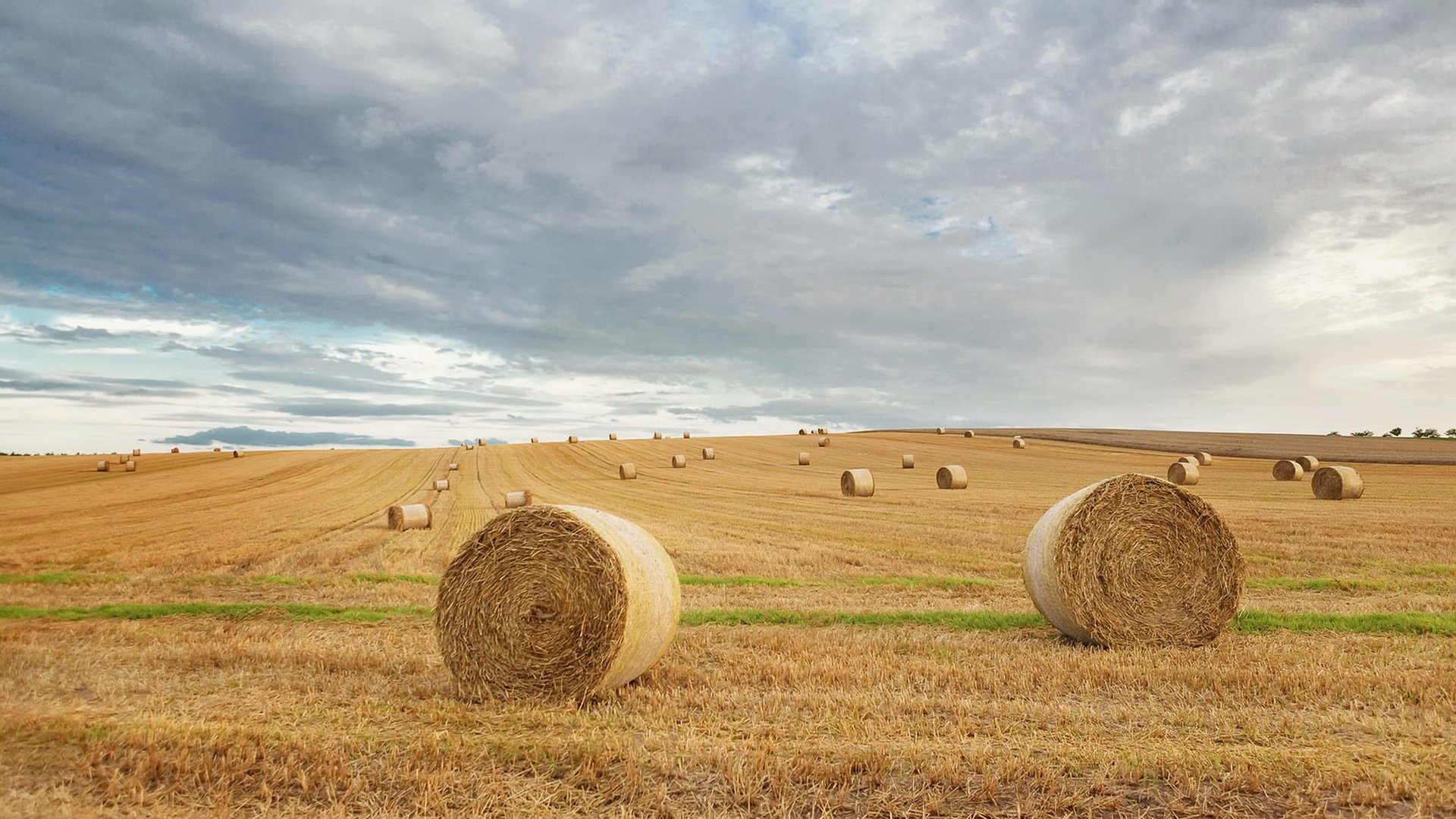 Nature Haystack Hd Wallpaper