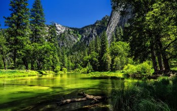 Yosemite Lake Trees Nature Landscape HD POSTER