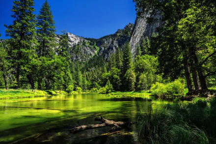 HD desktop wallpaper of a tranquil green lake surrounded by dense forest, with towering mountains in the background under a clear blue sky. This serene landscape is from Yosemite National Park in California.